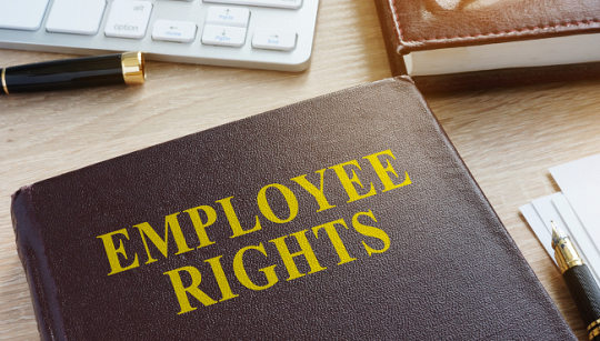 Employee Empowerment: Understanding Your Rights in the Workplace